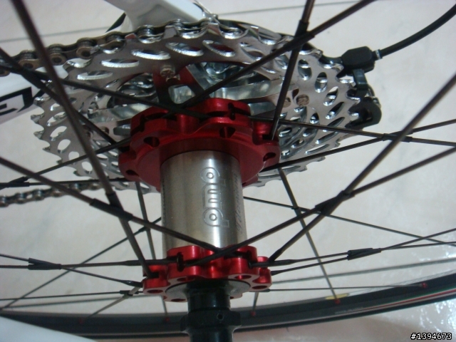 RIDLEY FENIX-Classic 車隊版白鳳凰開箱文