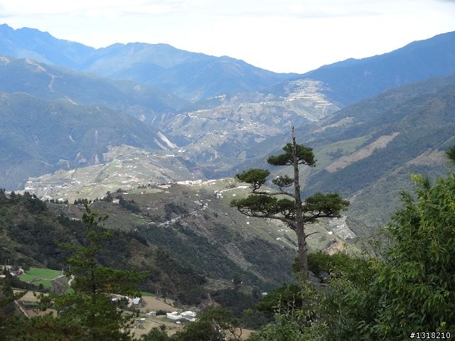 親子旅遊-褔壽山農場 and 合歡溪步道