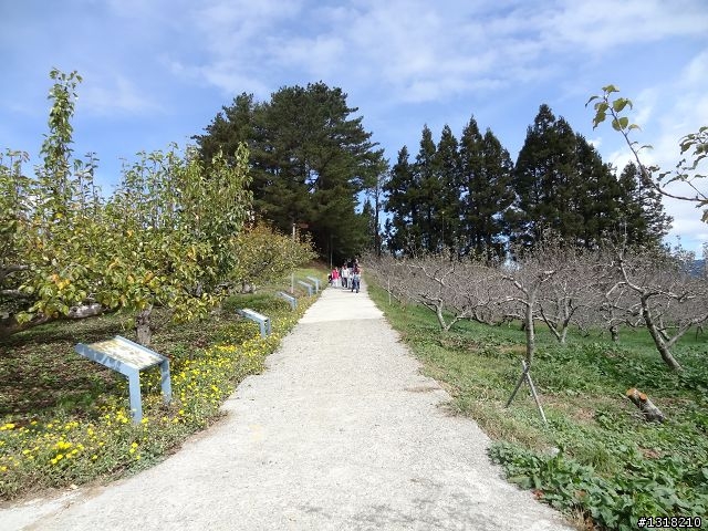親子旅遊-褔壽山農場 and 合歡溪步道