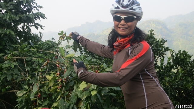 台南不落熱身篇：小西拉雅