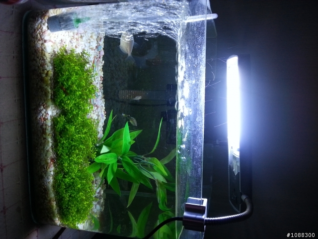 我想打造簡單水族箱，這些裝備夠嗎？