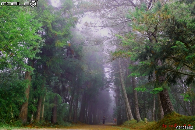2013年11→福壽山   初體驗