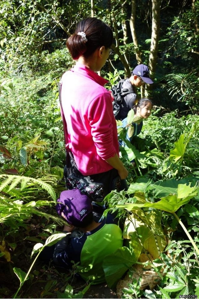 露營初體驗-香杉露營區