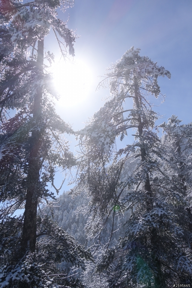 「蜀都騎實」西嶺雪山單線