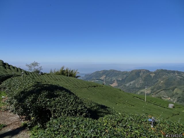 親子旅遊-竹山瞎晃