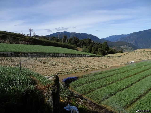 親子旅遊-褔壽山農場 and 合歡溪步道