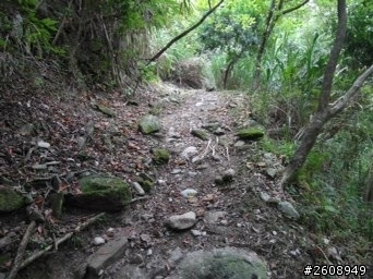 《冬季輕旅行》花蓮三天兩夜遊 2013/11/24-2013/11/26