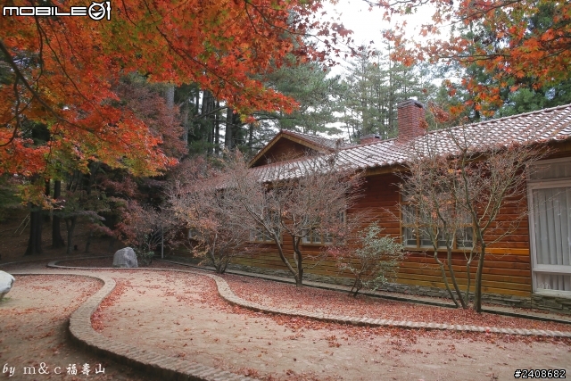 2013年11→福壽山   初體驗