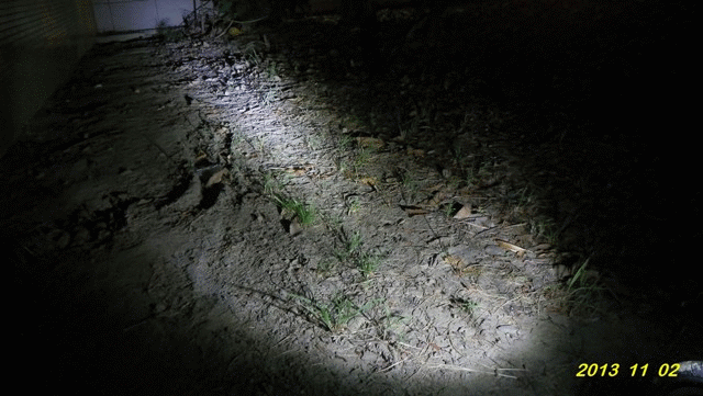 ( 分享 ) 阿哈前燈的遮羞罩