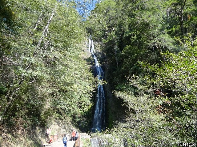 親子旅遊-武陵農場and 桃山瀑布步道