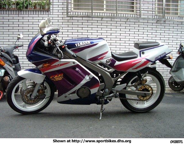 1995年你在幹什麼.............我的自由年代