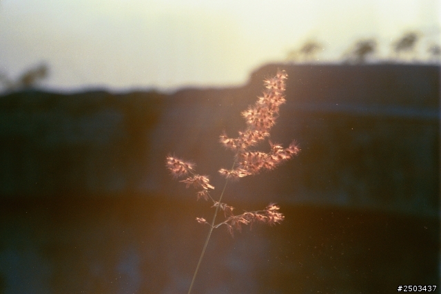 Leica m3 試機圖片