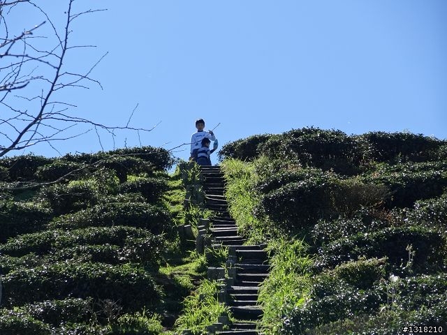 親子旅遊-竹山瞎晃