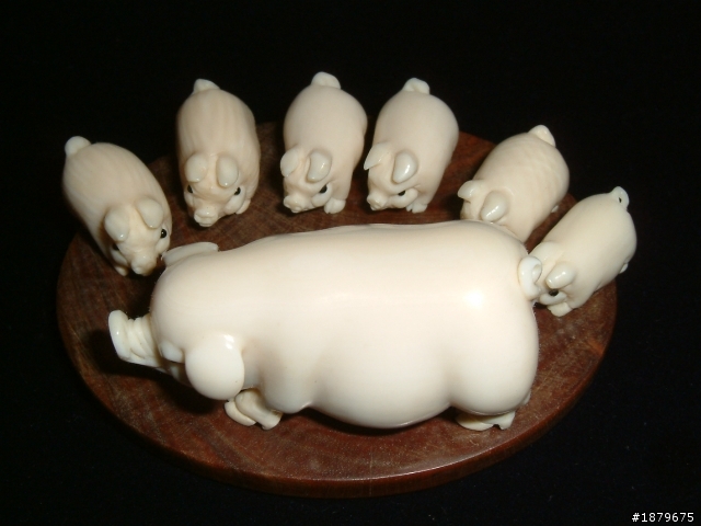 我養的一群可愛豬......