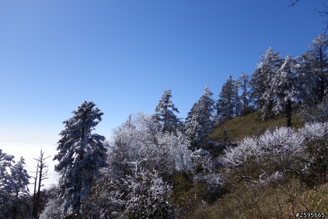 「蜀都騎實」西嶺雪山單線