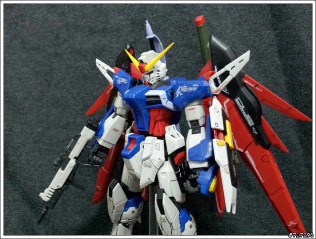 素組 RG ZGMF-X42S DESTINY 命運鋼彈