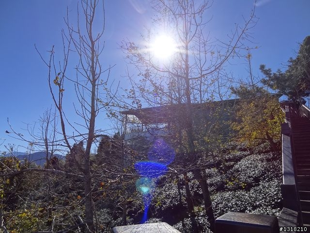 親子旅遊-竹山瞎晃