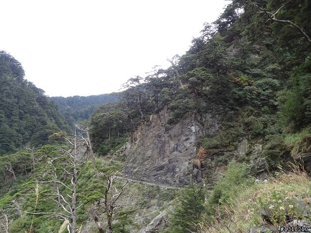 親子旅遊-褔壽山農場 and 合歡溪步道