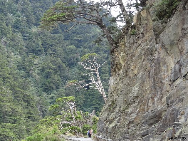 親子旅遊-褔壽山農場 and 合歡溪步道