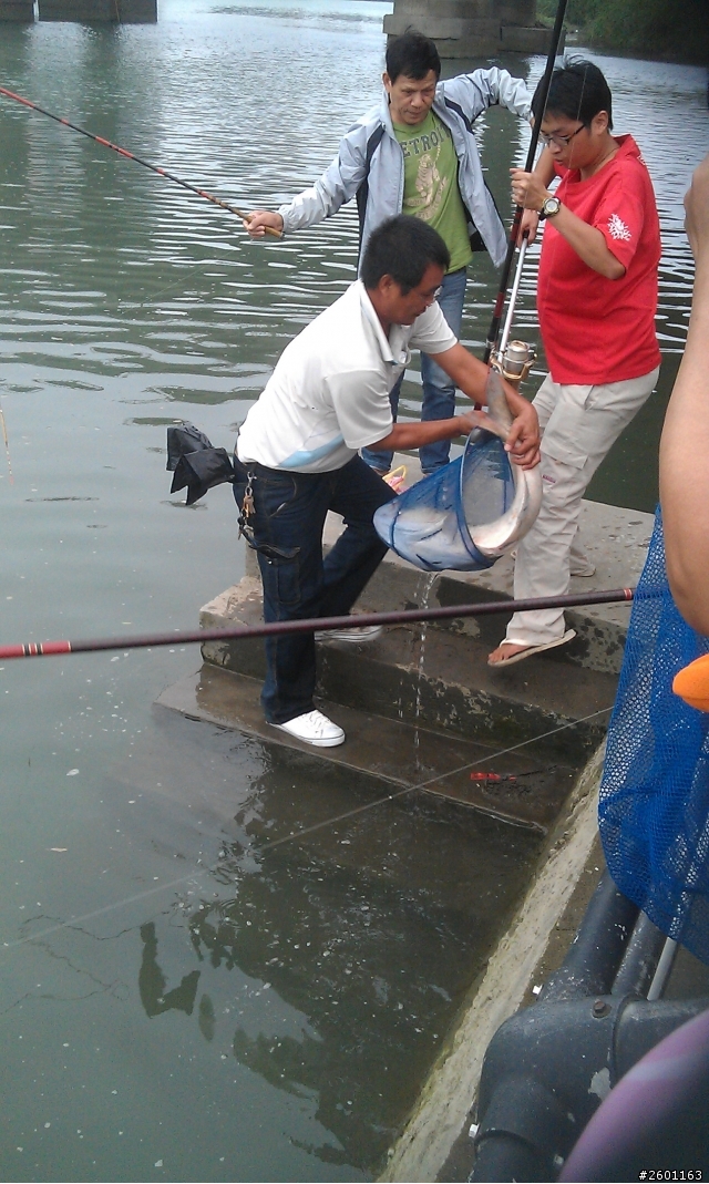 河濱一堆人在釣魚!!