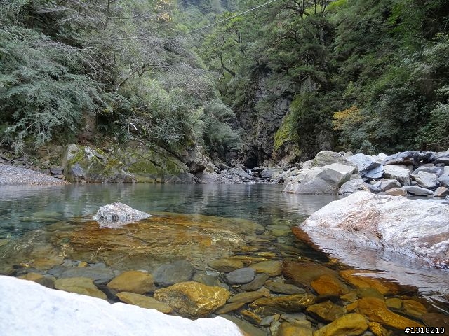 親子旅遊-褔壽山農場 and 合歡溪步道
