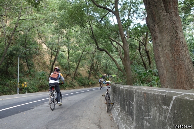 半天晴、半日雨，2013 遊山觀海在苗栗，