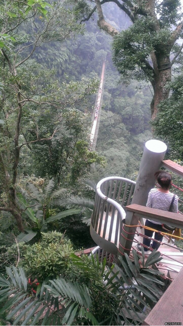 南投.竹山-天梯(梯子吊橋)
