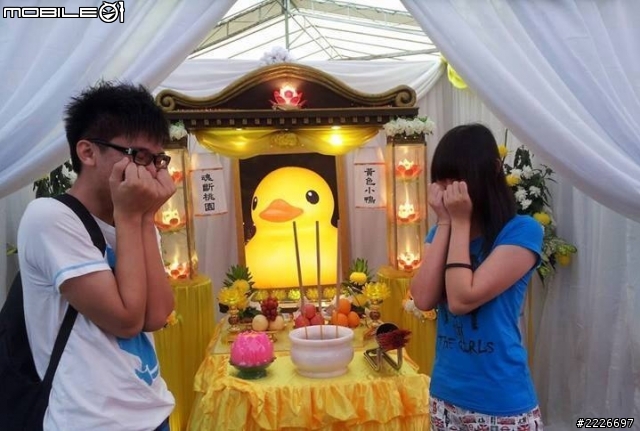 黑髮人送黃毛鴨,黃色小鴨,斷魂桃園....民眾哭的傷心