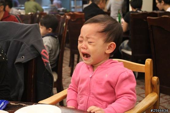 台灣銀熊U7turbo北海岸品秋蟹知性半日遊