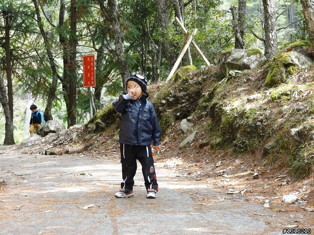 親子旅遊-武陵農場and 桃山瀑布步道