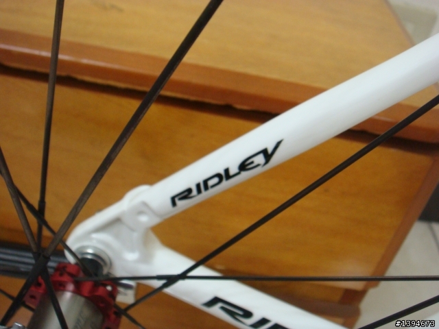 RIDLEY FENIX-Classic 車隊版白鳳凰開箱文