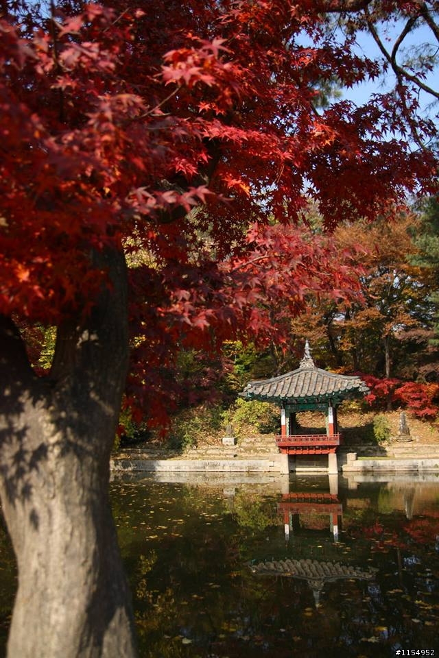 韓國秋天也很美