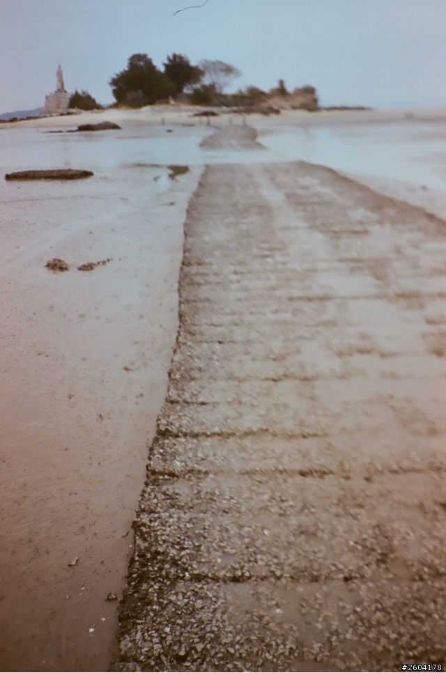 我的Yashica t3d拍出這樣是怎麼回事