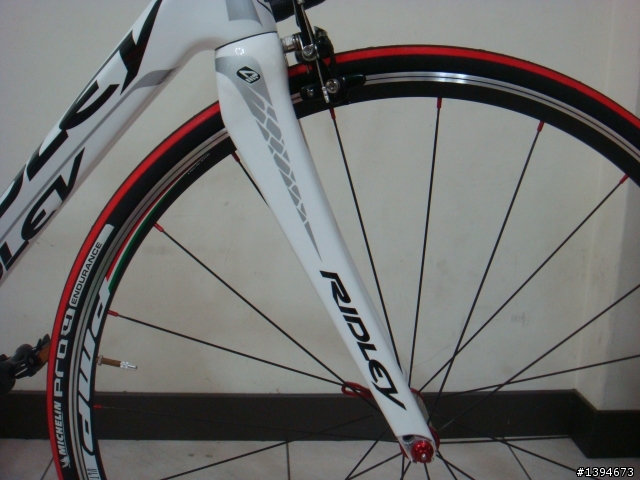 RIDLEY FENIX-Classic 車隊版白鳳凰開箱文