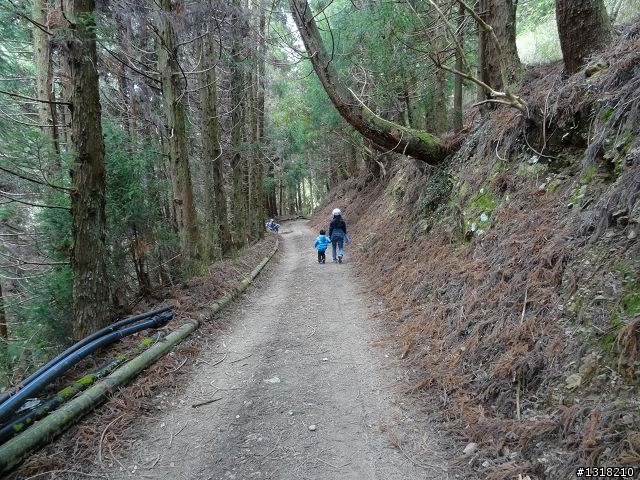 親子旅遊-褔壽山農場 and 合歡溪步道