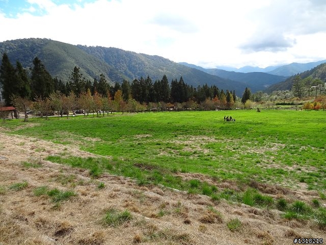親子旅遊-武陵農場and 桃山瀑布步道