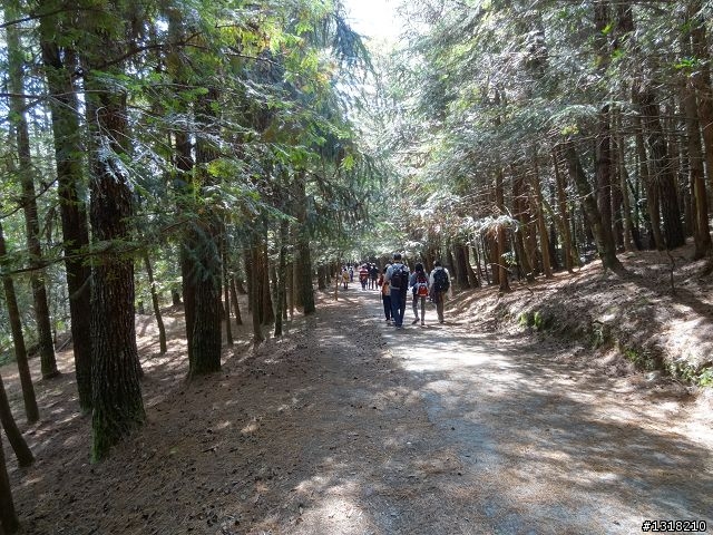 親子旅遊-武陵農場and 桃山瀑布步道