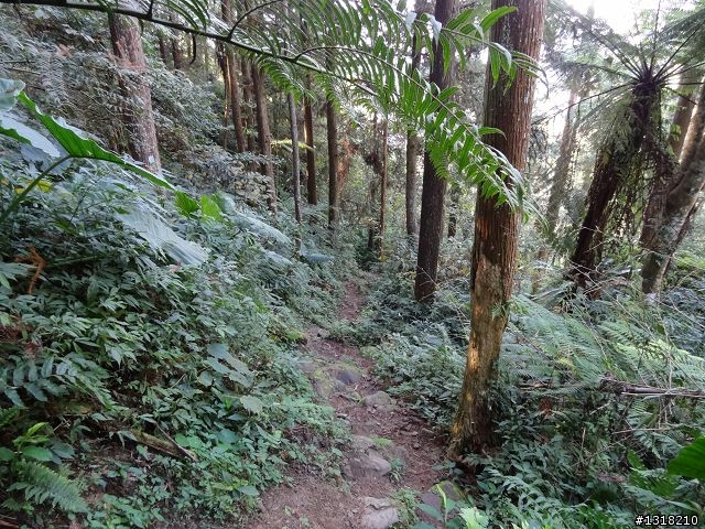 親子旅遊-竹山瞎晃