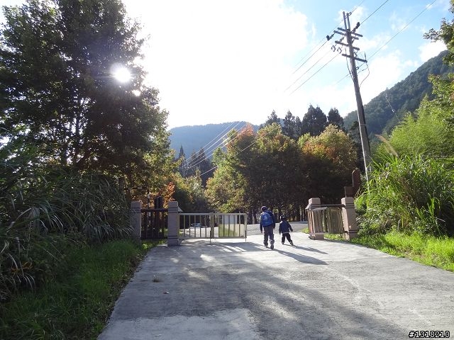 親子旅遊-武陵農場and 桃山瀑布步道