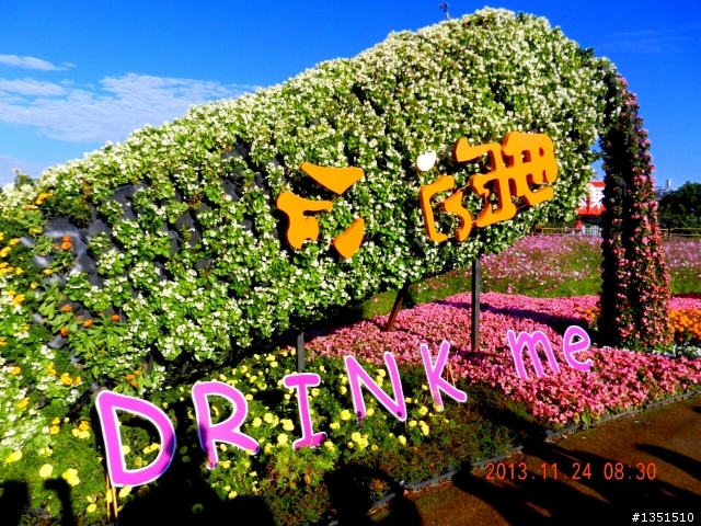 台中新社國際花毯節
