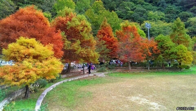 不專業之福壽山露營，順遊武陵農場