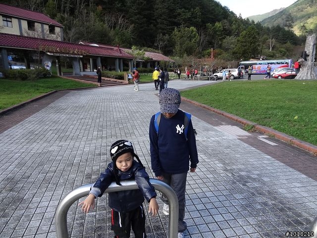 親子旅遊-武陵農場and 桃山瀑布步道