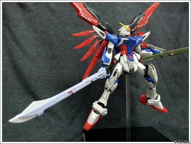 素組 RG ZGMF-X42S DESTINY 命運鋼彈