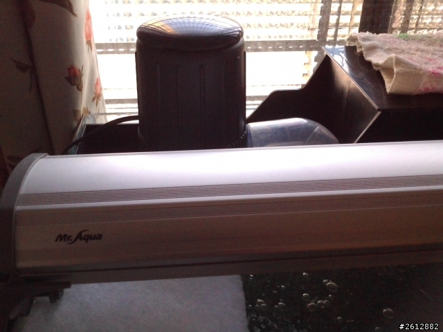 想種草原~我還缺啥!