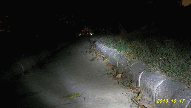 ( 分享 ) 阿哈前燈的遮羞罩