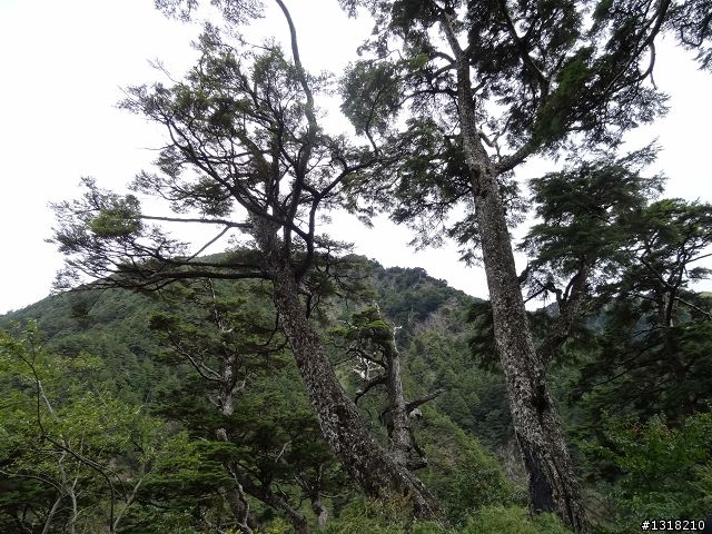 親子旅遊-褔壽山農場 and 合歡溪步道