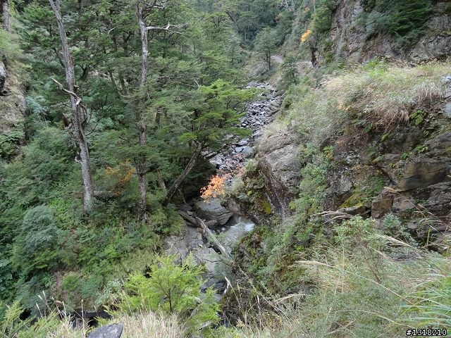 親子旅遊-褔壽山農場 and 合歡溪步道