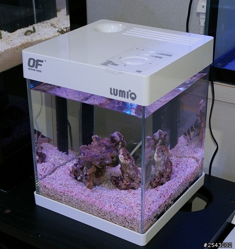 關於新加坡LumiQ水族套缸