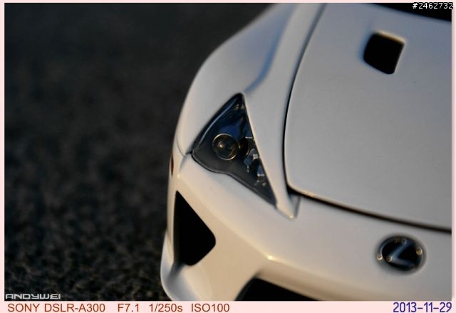 1:18 Lexus LFA in 大佳河濱公園