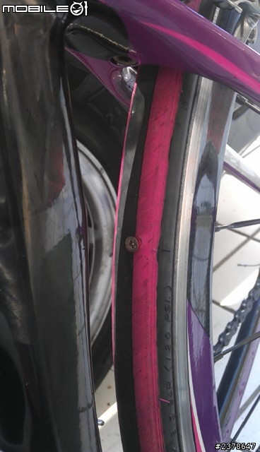 騎車一年了=D分享豐富的單車生活